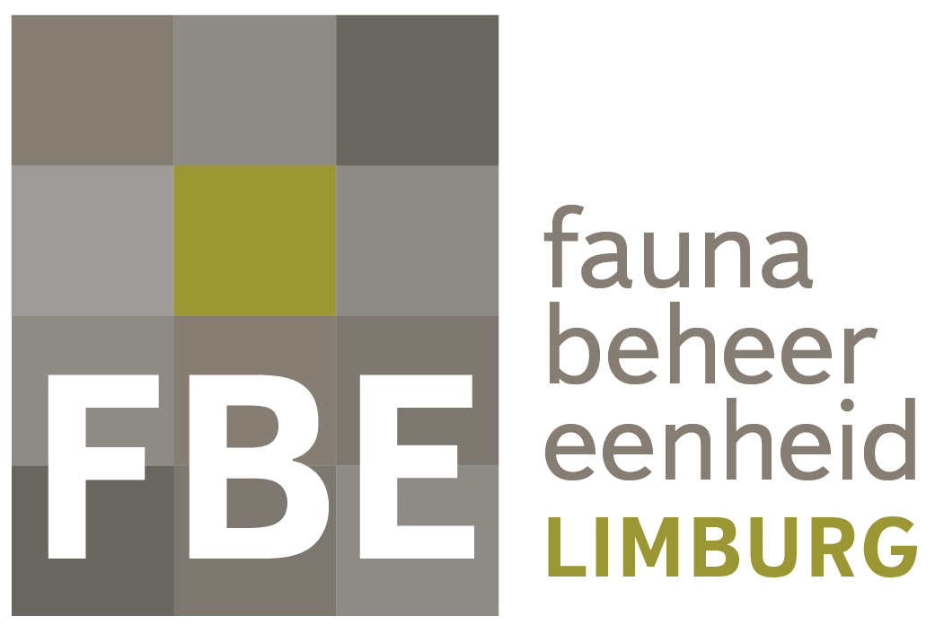 fbe limburg logo